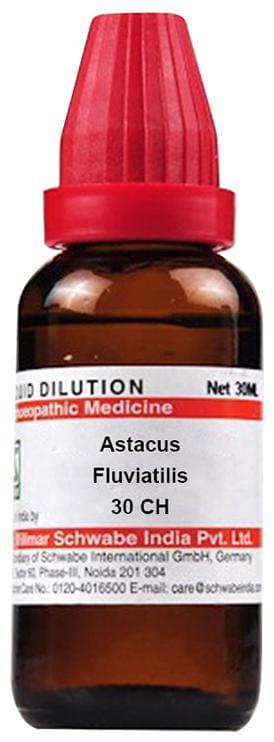 Astacus Fluviatilis 30 CH