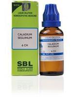 Caladium Seguinum 6 CH
